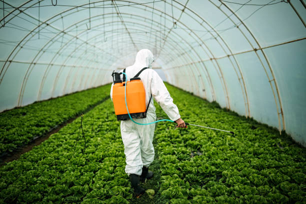 Pest Control Cost in Clay, CA