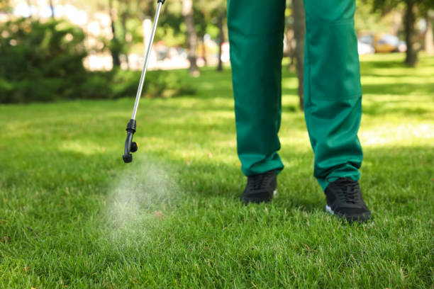 Best Bed Bug Extermination  in Clay, CA