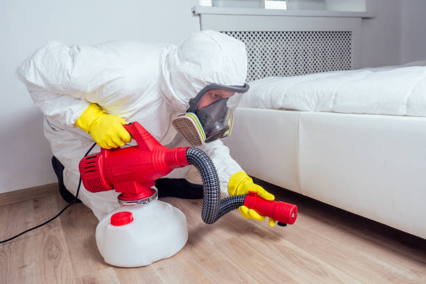 Best Local Pest Control Services  in Clay, CA
