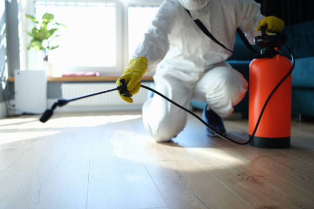Best Flea Control Services  in Clay, CA