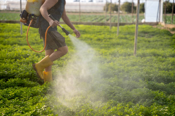 Reliable Clay, CA Pest Control Solutions
