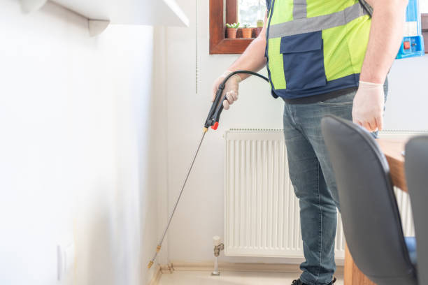 Best Affordable Pest Control Services  in Clay, CA