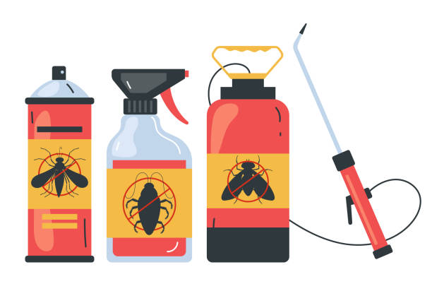 Best Termite Control Services  in Clay, CA