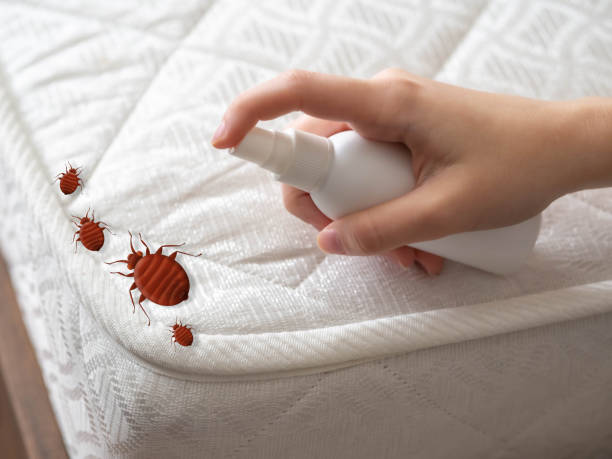 Best Best Pest Control Companies  in Clay, CA