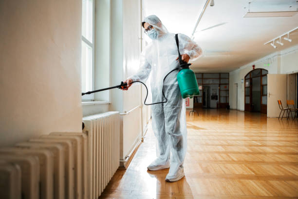 Best Affordable Pest Control Services  in Clay, CA