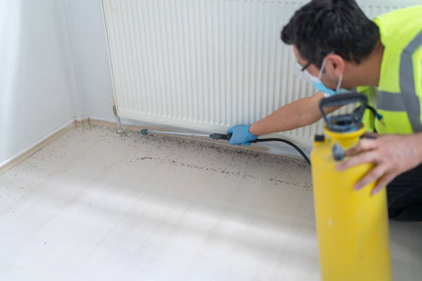 Best Emergency Pest Control  in Clay, CA